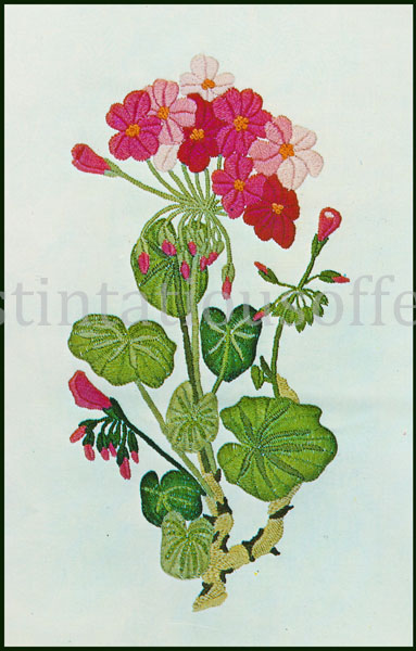 Rare Fielding Geranium Blooms Crewel Embroidery Panel Kit