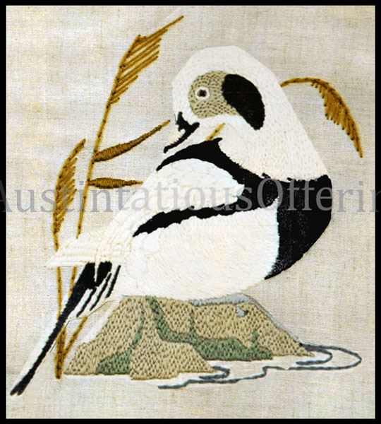 Rare Animal Portrait Diving Duck Crewel Embroidery Kit Kakawi