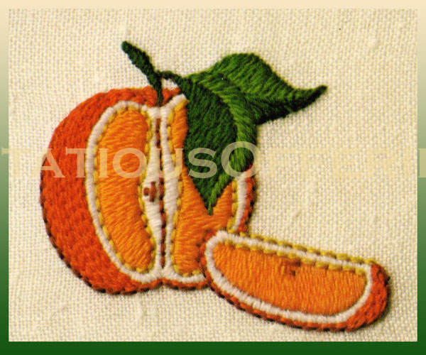 Rare Overton Citrus Study  Crewel Embroidery Kit Sectioned Orange
