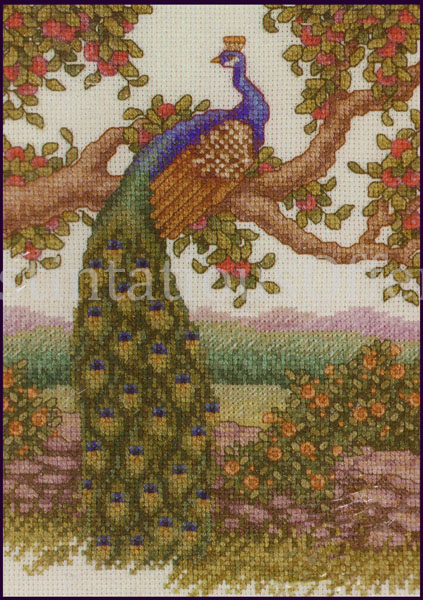 Rare Wentzler Peacock Cross Stitch Kit Orchard Majesty