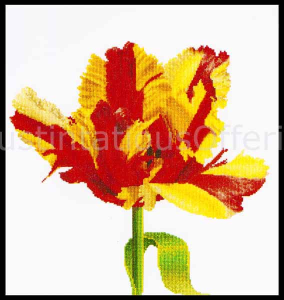 Thea Gouverneur Bright SpringFloral Parrot Tulip CrossStitch Kit