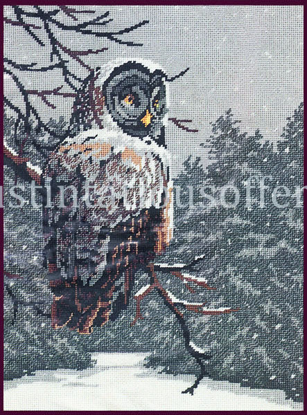 Rare Reinardy Great Gray Owl Needlepoint Kit Winter Wildlife