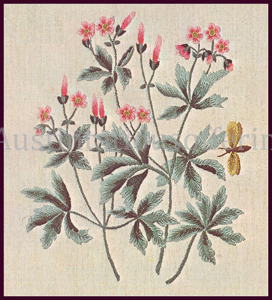 Rare Williams Geranium Wildflower Species Crewel Embroidery Kit