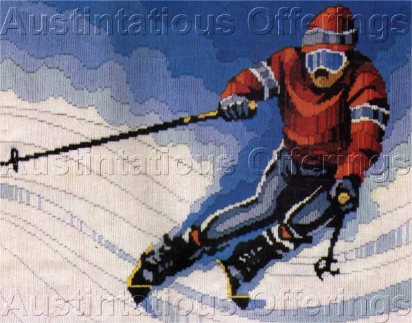 Reinardy Longstitch Needlepoint Kit Downhill  Winter Ski Racer