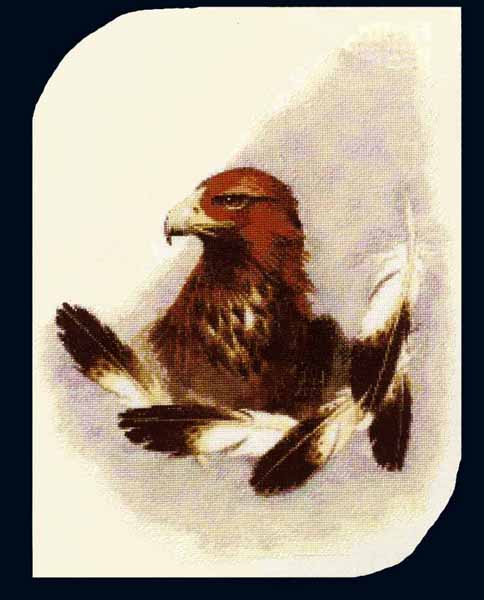 Rare Native American Headdress Eagle Feathers Cross Stitch Kit
