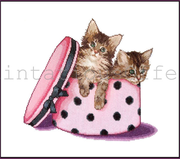 Cazenave Sweet Kittens Cross Stitch Kit Hatbox Twins Gouverneur
