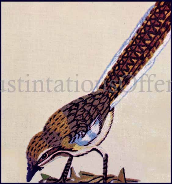 MasterSeries Endangered Animals CrewelEmbroidery Kit Roller Bird