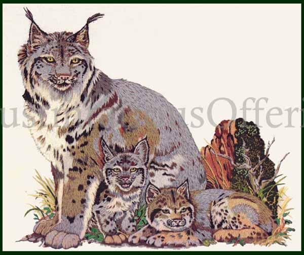 Rare Hallmark Forest Wildlife Crewel Embroidery Kit Lynx Family