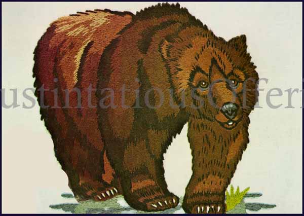 Master Series Endangered Animals Crewel Embroidery Kit Grizzly