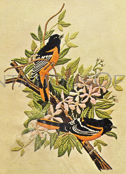 Rare Marcia Reed Springtime Oriole Pair Crewel Embroidery Kit Flowering Branch