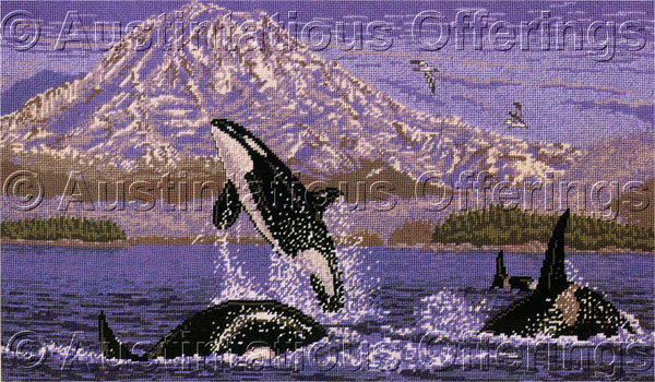 Rare Pacific Orcas Needlepoint Kit Mt Rainier Northwest Wildlife