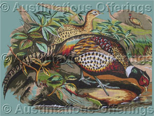 Rare Margot Field Birds Needlepoint PetitPoint Canvas Pheasants