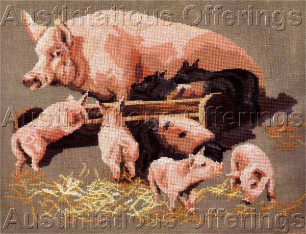 Sow And Piglets Feeding Evenweave Cross Stitch Kit