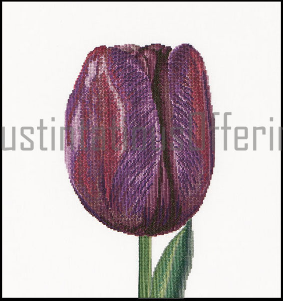 Thea Gouverneur Bold Spring Floral Cross Stitch Kit Purple Tulip