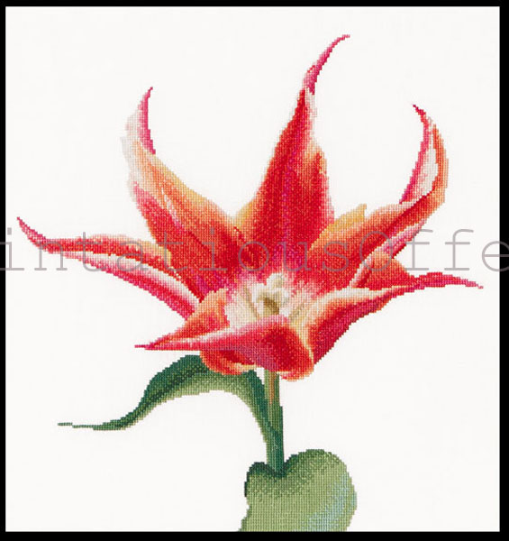 Thea Gouverneur Bright Spring Floral LilyTulip Cross Stitch Kit