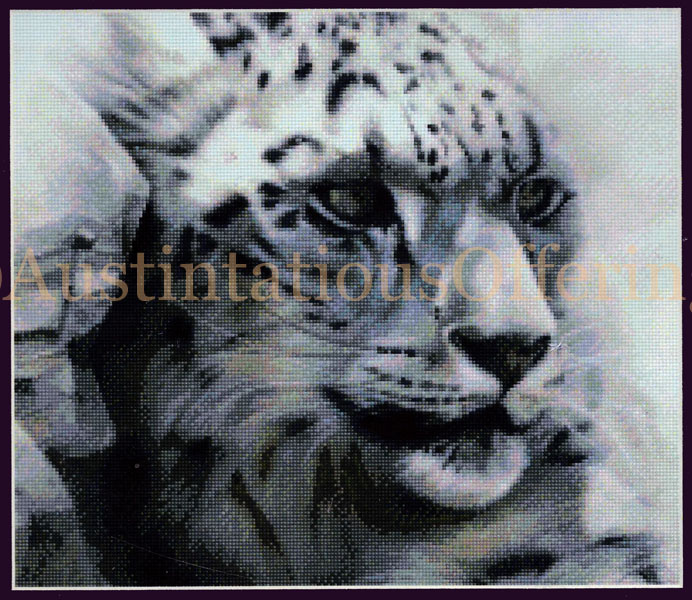 Rare Big Cat Cross Stitch Kit Michael Pape Solitary Snow Leopard