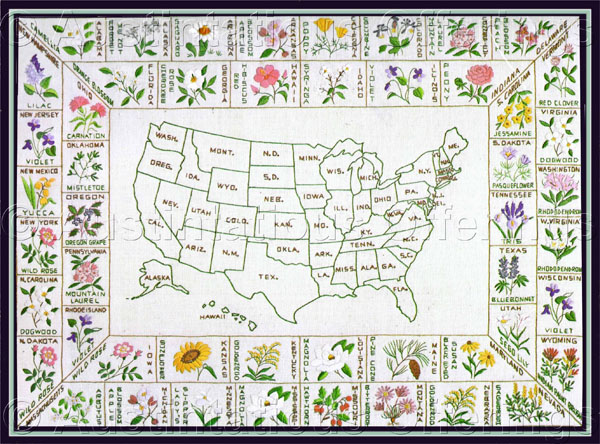 Rare 50 States Stamped XStitch Crewel Sampler Kit State Flowers