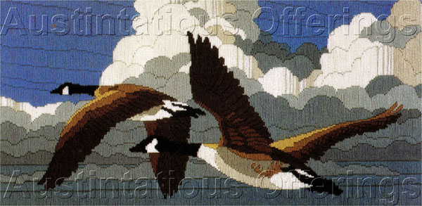 Reinardy Winter Skies Longstitch Needlepoint Kit Canada Geese